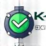 Internal Audits Icon